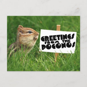 Carte Postale Salutations des Poconos ! Chipmunk avec signe