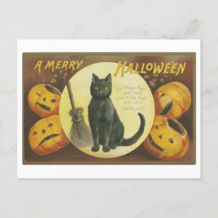 Carte Postale Salutations d'Halloween vintage avec chat noir