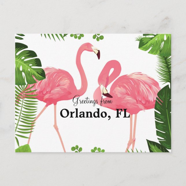Carte Postale Salutations d'Orlando, FL—flamants roses (Devant)