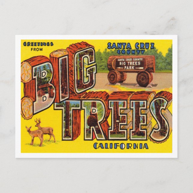 Carte Postale Salutations du comté de Père Noël Cruz, Big Trees  (Devant)