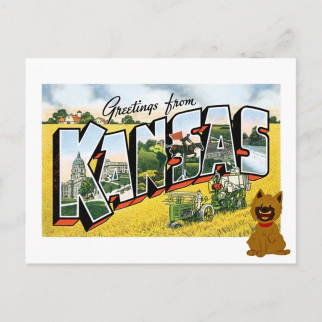 Carte Postale Salutations du Kansas ! Cairn Terrier Toto (Devant)