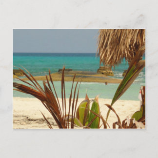 Carte Postale Salutations du paradis !