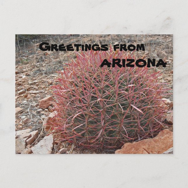 Carte Postale Salutations du Plante de l'Arizona Red Barrel Cact (Devant)
