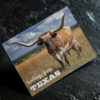 Salutations du taureau Texas Longhorn
