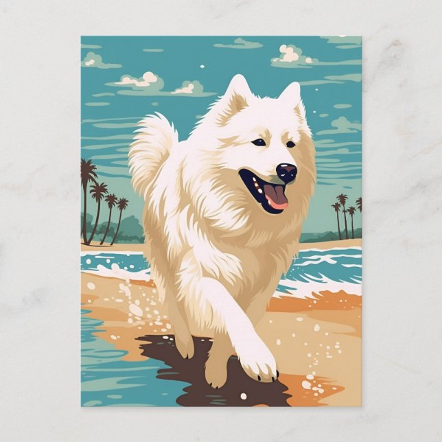 Carte Postale Samoyé à la plage (Devant)