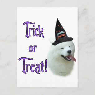 Carte Postale Samoyed Trick