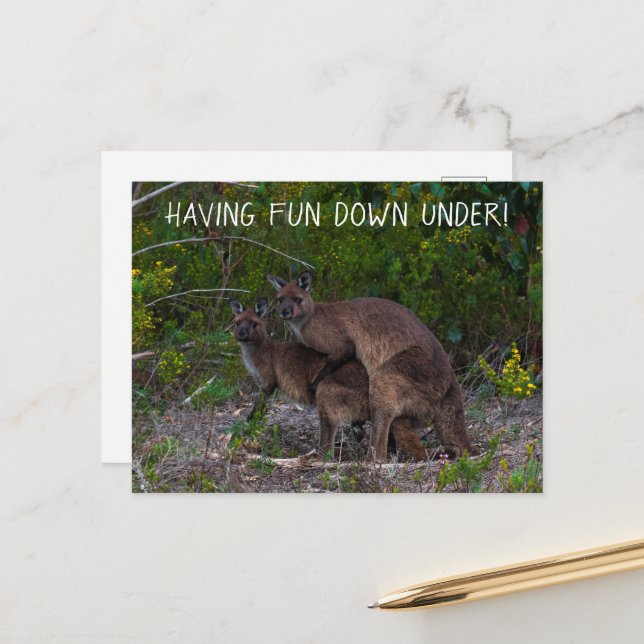 Carte Postale S'Amuser Sous Kangaroo Australie (Devant/Arrière en situation)
