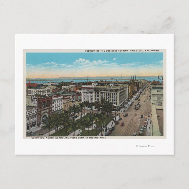 Carte Postale San Diego, CA - Oiseaux Vue du centre-ville (Devant)
