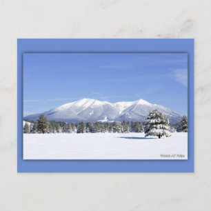 Carte Postale San Francisco Pics En Neige