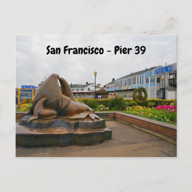 Carte postale San Francisco Pier 39 #13 (Devant)