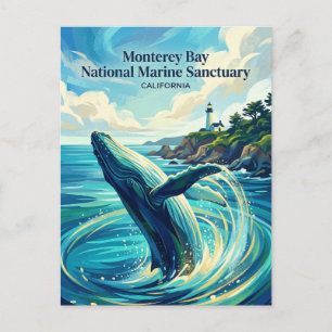 Carte Postale Sanctuaire marin national de la baie de Monterey É