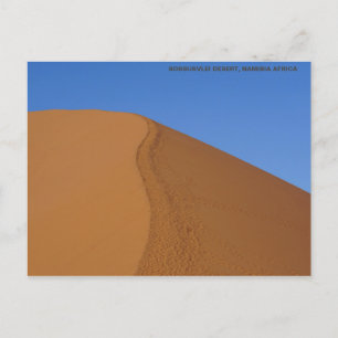 CARTE POSTALE SAND DUNE NAMIBIE AFRIQUE