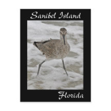 Carte postale Sandpiper de l'île de Sanibel
