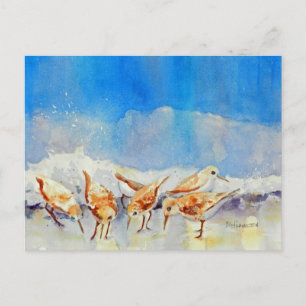 Carte Postale Sandpipers, Plage, Vagues, Océan, Aquarelle