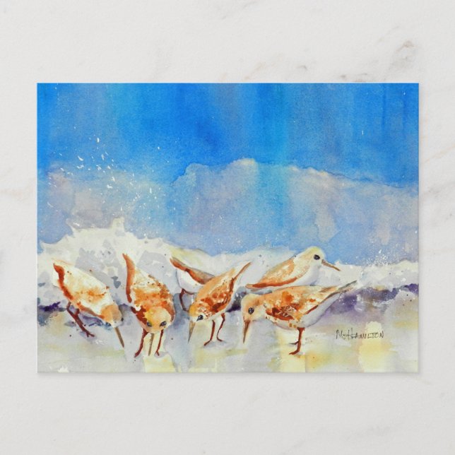Carte Postale Sandpipers, Plage, Vagues, Océan, Aquarelle (Devant)