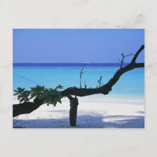 Carte Postale Sandy Beach 8