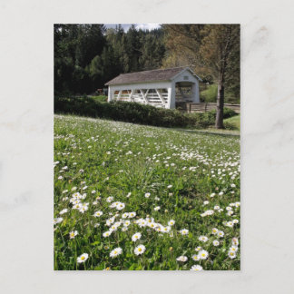 Carte Postale Sandy Cr. Pont couvert