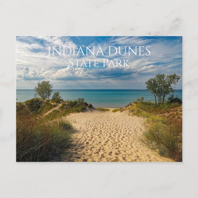 Carte Postale Sandy Path to Lake Michigan Beach, Indiana Dunes (Devant)