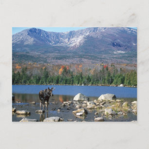 Carte postale Sandy Stream Pond