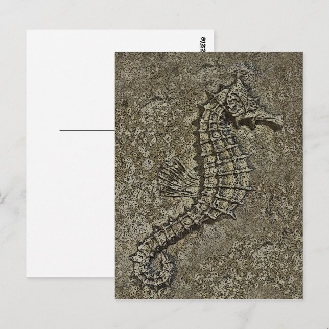 Carte Postale Sandy Textured Seahorse Photo (Devant / Derrière)