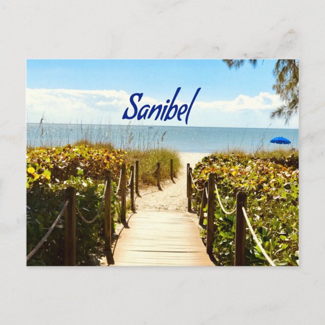 Carte Postale Sanibel Island Floride Plage Océan (Devant)