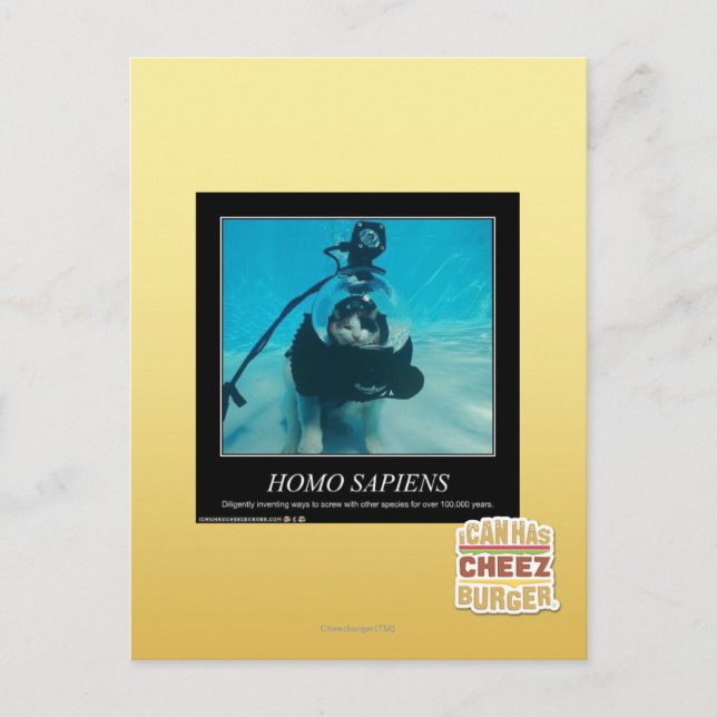 Carte Postale Sapiens Homos (Devant)