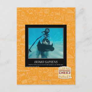 Carte Postale Sapiens Homos