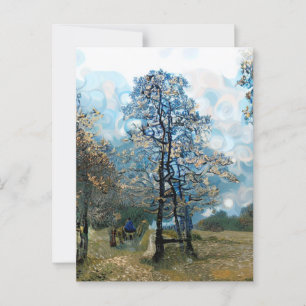 Carte Postale Sapin