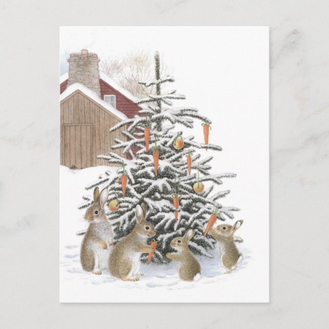 Carte Postale Sapin des lapins (Devant)