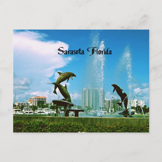 Carte Postale Sarasota Floride (Devant)
