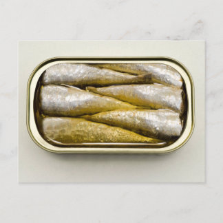 Carte Postale Sardines en conserve