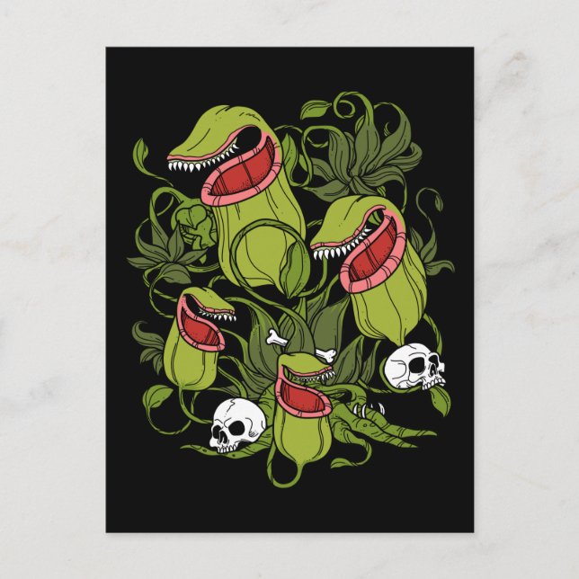 Carte Postale Sarracenia Plantes carnivores (Devant)