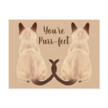 Sasha Siamese Amoureux des chats Back View Vous êt