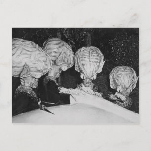 CARTE POSTALE SAUCER HOMMES