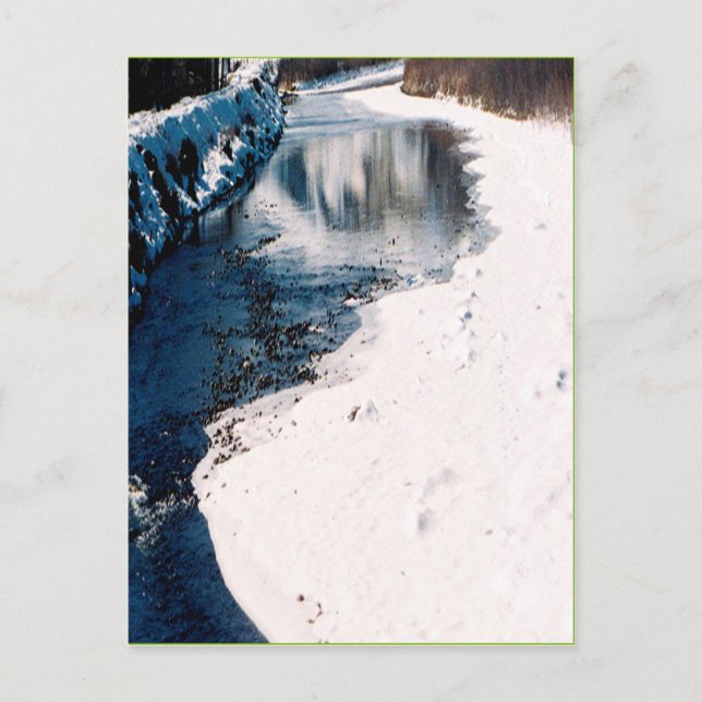 Carte Postale Saumon neigeux Idaho (Devant)