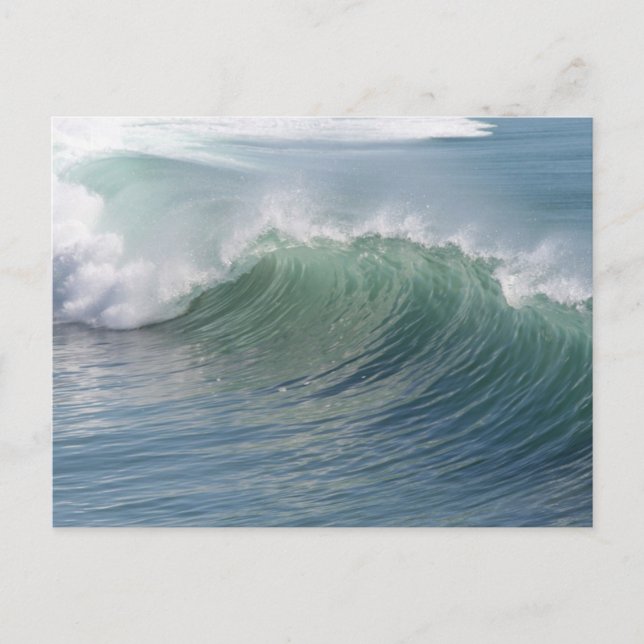 Carte Postale Saut de vague (Devant)