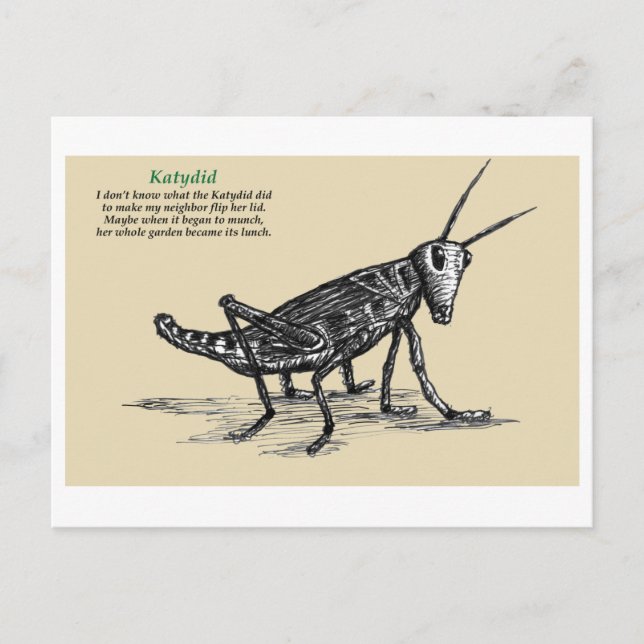 Carte Postale Sauterelle  (Devant)