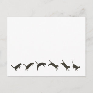 Carte Postale Sauts de chats