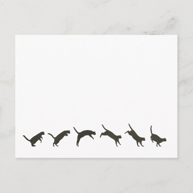 Carte Postale Sauts de chats (Devant)