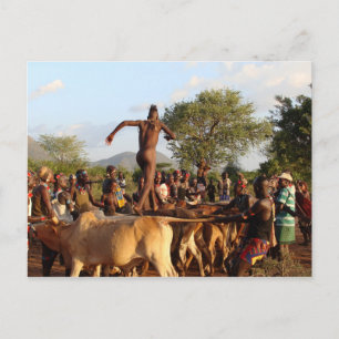 Carte Postale Sauts de la cérémonie des taureaux