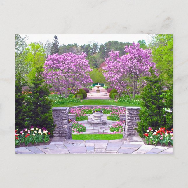 CARTE POSTALE, SAUTS GARDENS IN BLOOM (PHOTOG) (Devant)