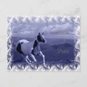 Carte postale sauvage et gratuite