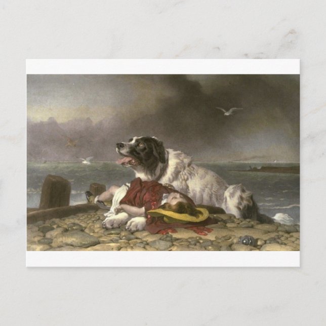 Carte Postale Sauvé par Edwin Henry Landseer (Devant)