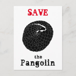 Carte Postale Sauver le Pangolin Espèce en voie de disparition A
