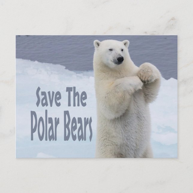 Carte Postale Sauver les ours polaires (Devant)