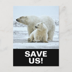 Carte Postale Sauver les ours polaires slogan d'activisme climat