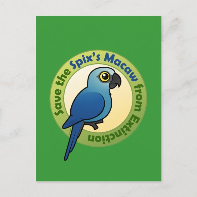 Carte Postale Sauvez la Macaw de Spix de l'extinction (Devant)