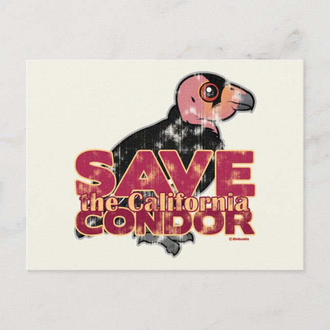 Carte Postale Sauvez le condor de Californie (Devant)