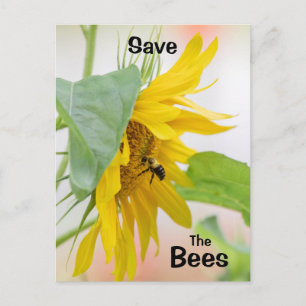Carte Postale Sauvez les abeilles