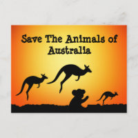 Sauvez les animaux d'Australie